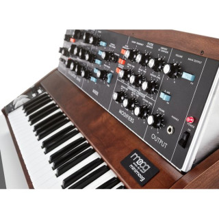 Moog Minimoog Модель D 2022 Moog Minimoog Model D 2022