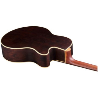 Акустическая бас-гитара Warwick RB Alien Deluxe 4 NT