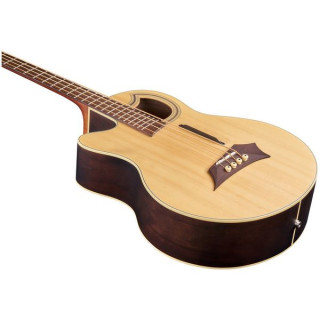Акустическая бас-гитара Warwick RB Alien Deluxe 4 NT