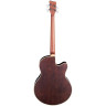Акустическая бас-гитара Warwick RB Alien Deluxe 4 NT