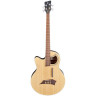 Акустическая бас-гитара Warwick RB Alien Deluxe 4 NT