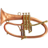 Тейлор трубит о классном парне Taylor Trumpets Phat Boy