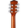 Гитары Luna Gypsy Exotic A/E GN Luna Guitars Gypsy Exotic A/E GN