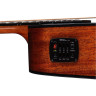 Гитары Luna Gypsy Exotic A/E GN Luna Guitars Gypsy Exotic A/E GN
