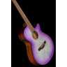 Ibanez AEG70-PIH Ibanez AEG70-PIH