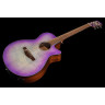 Ibanez AEG70-PIH Ibanez AEG70-PIH