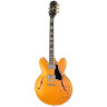 Эпифон Футура ES-355 Файрсторм Шифт Epiphone Futura ES-355 Firestorm Shift