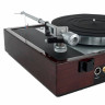 Thorens TD 1601 грецкий орех Thorens TD 1601 walnut