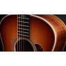 Золотая этикетка Taylor 814e Koa Sunburst Taylor Gold Label 814e Koa Sunburst
