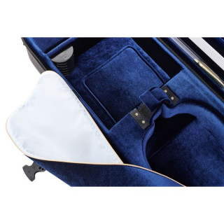 Кейс для скрипки Artonus Geeston Violin CG Artonus Geeston Violin CG