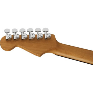 Charvel Pro-Mod Plus DK24 HSS QM ZF Charvel Pro-Mod Plus DK24 HSS QM ZF