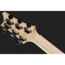 PRS Майлз Кеннеди Блэк PRS Myles Kennedy Black