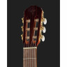 Такамин GC5CE-N-LH Takamine GC5CE-N-LH