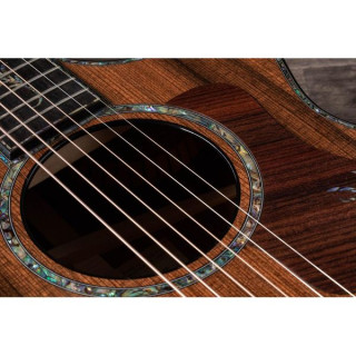 Тейлор PS12ce Розовое дерево Гондураса Taylor PS12ce Honduran Rosewood
