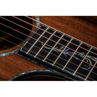 Тейлор PS12ce Розовое дерево Гондураса Taylor PS12ce Honduran Rosewood