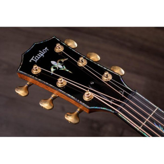 Тейлор PS12ce Розовое дерево Гондураса Taylor PS12ce Honduran Rosewood