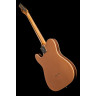 Электрогитара с набором Harley Benton TE-25TH Firemist Harley Benton TE-25TH Firemist