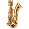 Тенор-саксофон Yamaha YTS-480 Tenor Sax Bundle №544193 (Комплект)