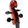 Стентор SR1586 Виолончель Консерватория 4/4 Stentor SR1586 Cello Conservatoire 4/4