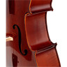 Стентор SR1586 Виолончель Консерватория 4/4 Stentor SR1586 Cello Conservatoire 4/4