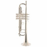 Adams A2 Bb- Труба 050 Selected SP Adams A2 Bb- Trumpet 050 Selected SP