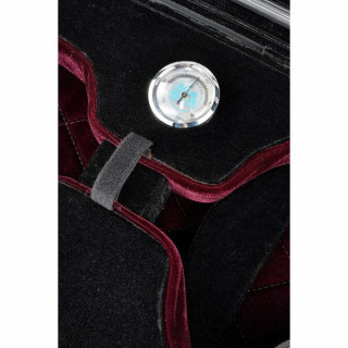 Roth & Junius RJVC Professional Deluxe Roth & Junius RJVC Professional Deluxe