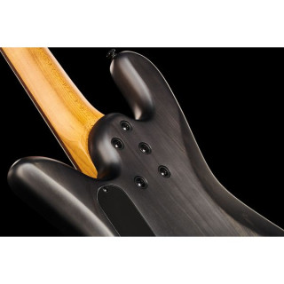 Spector NS Pulse II 5 Черное пятно Spector NS Pulse II 5 Black Stain