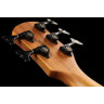 Spector NS Pulse II 5 Черное пятно Spector NS Pulse II 5 Black Stain