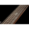 Spector NS Pulse II 5 Черное пятно Spector NS Pulse II 5 Black Stain