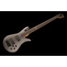 Spector NS Pulse II 5 Черное пятно Spector NS Pulse II 5 Black Stain