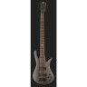 Spector NS Pulse II 5 Черное пятно Spector NS Pulse II 5 Black Stain