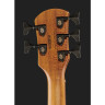 Spector NS Pulse II 5 Черное пятно Spector NS Pulse II 5 Black Stain