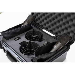 Теплый звук WA-87 R2 TS Warm Audio WA-87 R2 TS