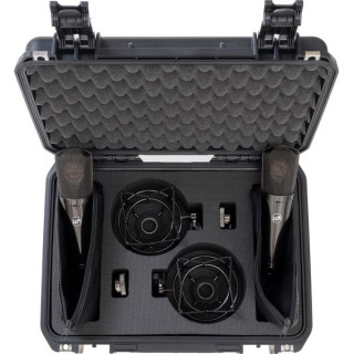 Теплый звук WA-87 R2 TS Warm Audio WA-87 R2 TS