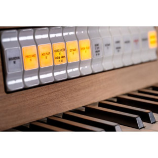 Johannus Studio 260, из тонкого дуба с вогнутой поверхностью Johannus Studio 260, Fine Oak Concave