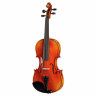 Скрипка с набором Gewa Maestro 1 Violin Set 4/4 OC CB Gewa Maestro 1 Violin Set 4/4 OC CB