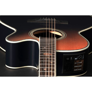 ООО "Такамин" 2024 Takamine LTD 2024