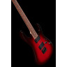 Ibanez RG421-BBS Ibanez RG421-BBS