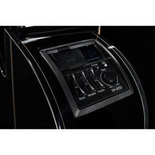 Takamine GN30CE BLK Takamine GN30CE BLK