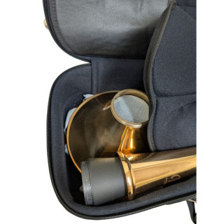 Репетиция тенор-тромбона с глушителем A Mute Tenor Trombone Practice