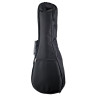 Укулеле Kala KA-SCAC-B8 Baritone Ukulele Kala KA-SCAC-B8 Baritone Ukulele