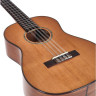 Укулеле Kala KA-SCAC-B8 Baritone Ukulele Kala KA-SCAC-B8 Baritone Ukulele