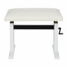 Скамья для фортепиано Klavierbänke Niederrhein Mod. 60 с ковриком Klavierbänke Niederrhein Mod. 60 Piano Bench WH mat