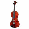Набор старинных скрипок Roth & Junius Europe 1/2 Roth & Junius Europe Antiqued Violin Set 1/2