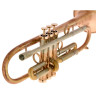 АР Резонанс Романтика Тромбон Си-бемоль AR Resonance Romantica Bb-Trumpet