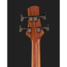 Furch Bc-62-SW 4 акустический бас Furch Bc-62-SW 4 Acoustic Bass