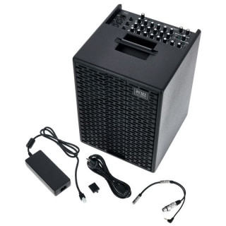 Комбоусилитель Acus One-Street10-B Bundle (Комплект)