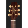 Takamine P5DC w/Softcase Takamine P5DC w/Softcase