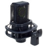 Конденсаторный микрофон Lewitt LCT 440 PURE Набор №538971 Lewitt LCT 440 PURE Bundle №538971