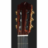 Кедр Кордоба C9 Cordoba C9 Cedar